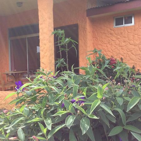 Hôtel Cabinas Los Guayabos à La Fortuna Extérieur photo