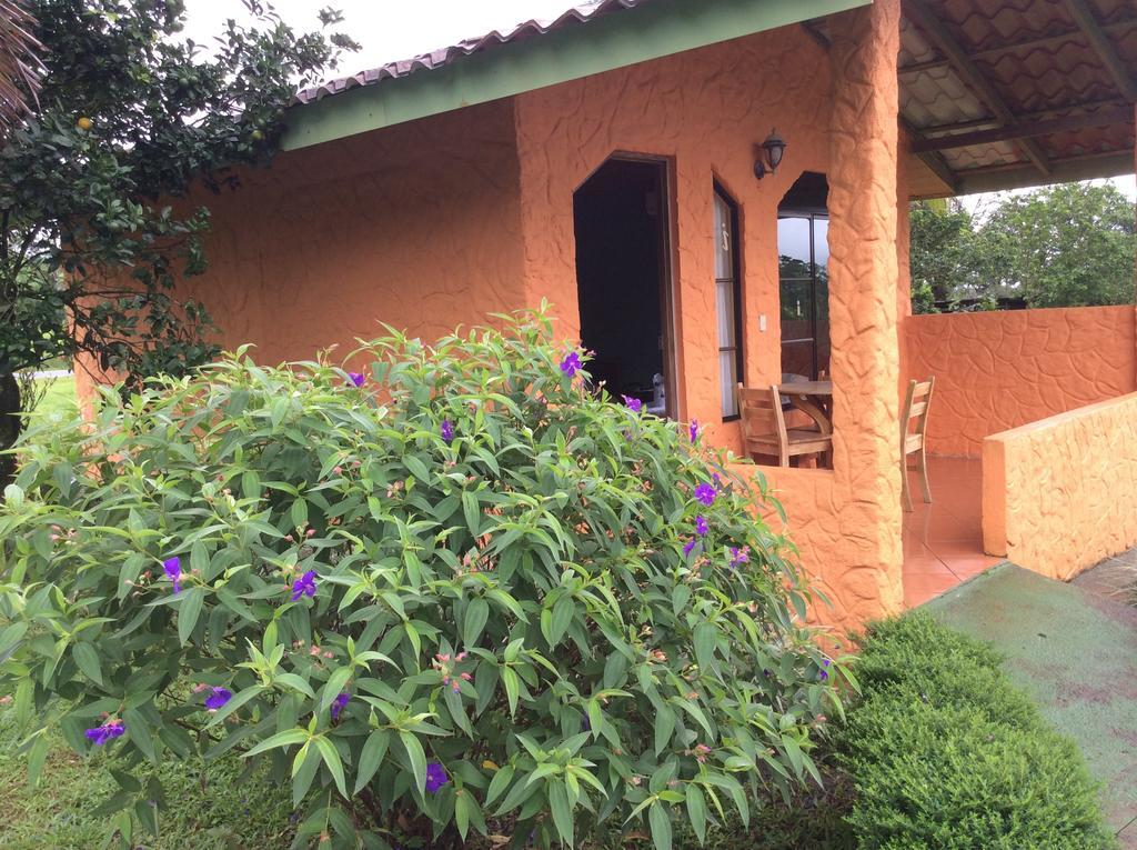 Hôtel Cabinas Los Guayabos à La Fortuna Chambre photo