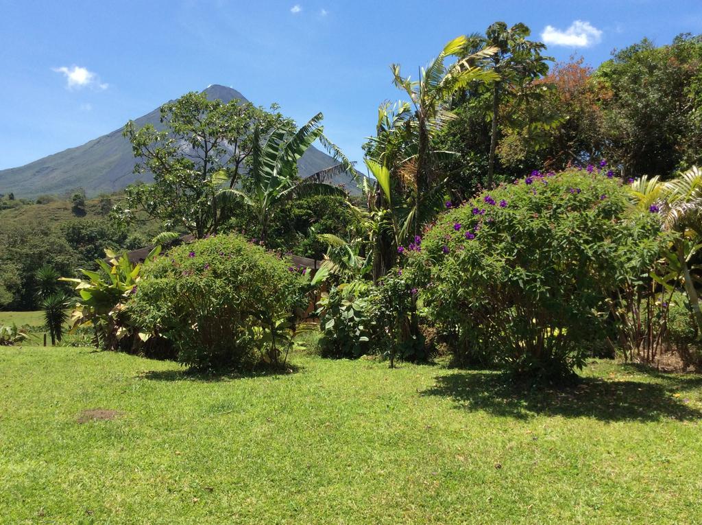 Hôtel Cabinas Los Guayabos à La Fortuna Extérieur photo