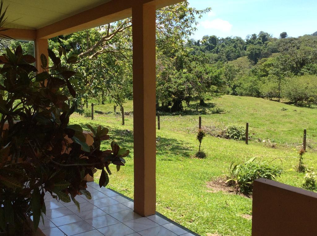 Hôtel Cabinas Los Guayabos à La Fortuna Extérieur photo
