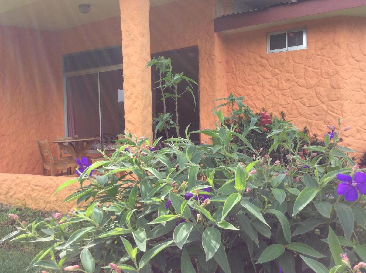 Hôtel Cabinas Los Guayabos à La Fortuna Extérieur photo